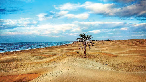  بریم به درک!