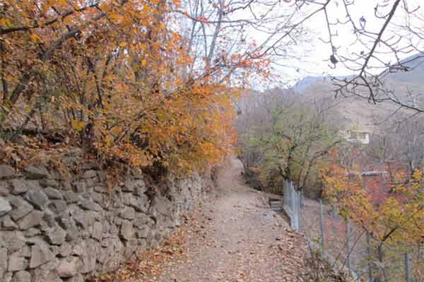 روستای برگ جهان