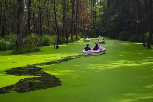 پارک جنگلی سراوان