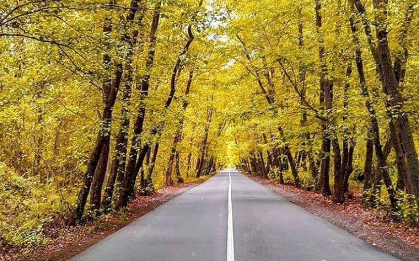 پارک جنگلی صفرابسته