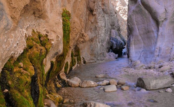 خراسان جنوبی