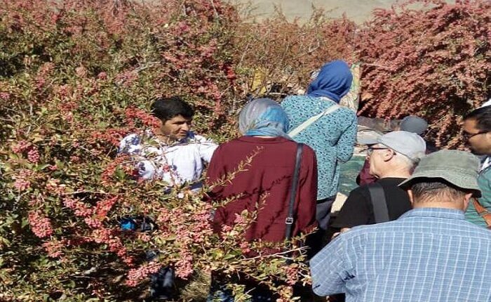 خراسان جنوبی