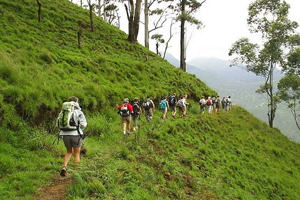 ماجراجویانه