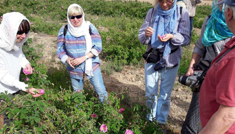 اگروتوریسم